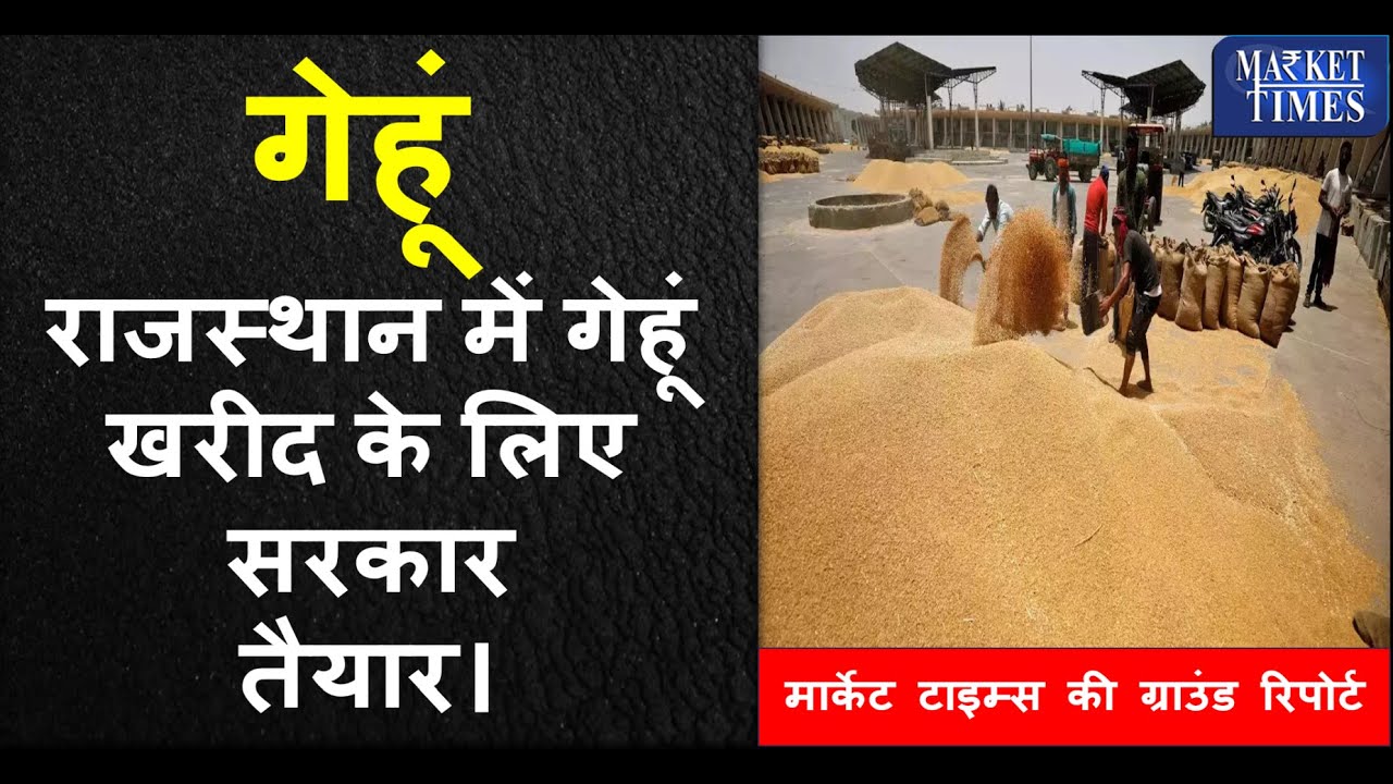 राजस्थान में गेहूं खरीद के लिए सरकार तैयार।  मार्केट टाइम्स की ग्राउंड रिपोर्ट | Wheat | Grain