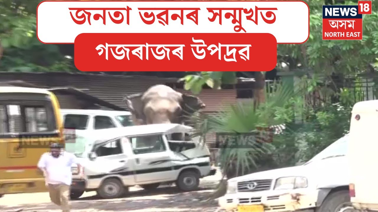 Elephant Terror in Guwahati | জনতা ভৱনৰ সন্মুখত হাতীয়ে ভাঙি টচনচ কৰে কেইবাখনো বাহন | N18V