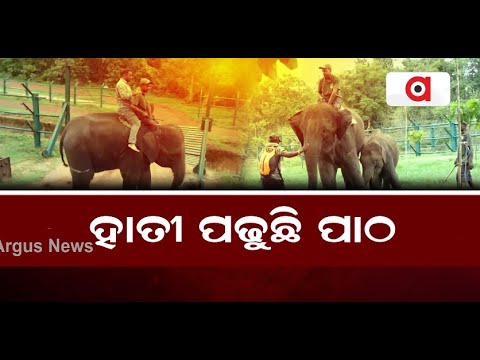 ହାତୀ ପଢୁଛି ପାଠ || Elephant Reading || Bhubaneswar