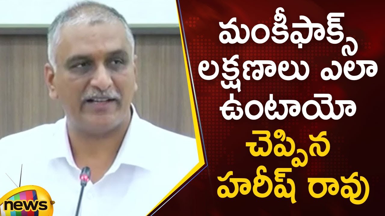 Health Minister Harish Rao Speaks About Monkeypox Symptoms | Monkeypox Updates | Mango News