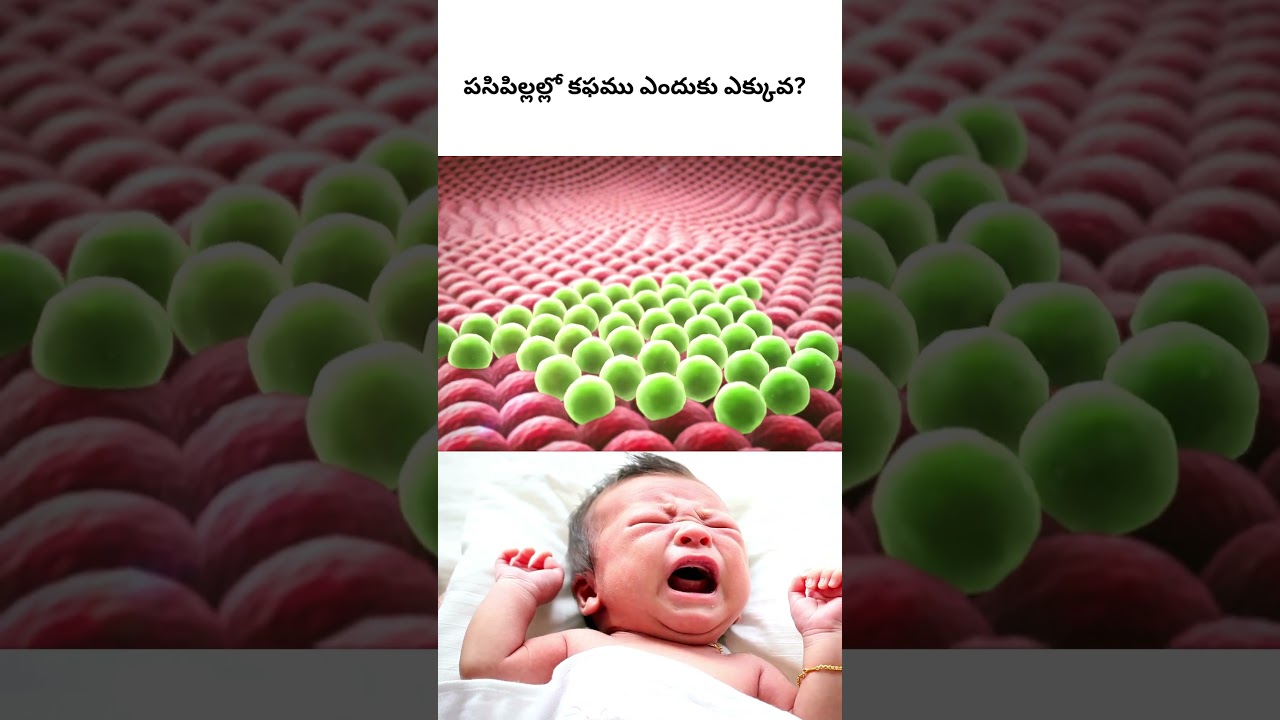 బేబీస్ కి కఫము ఎక్కువ ఎందుకు వస్తుంది?  | Women & Child Health