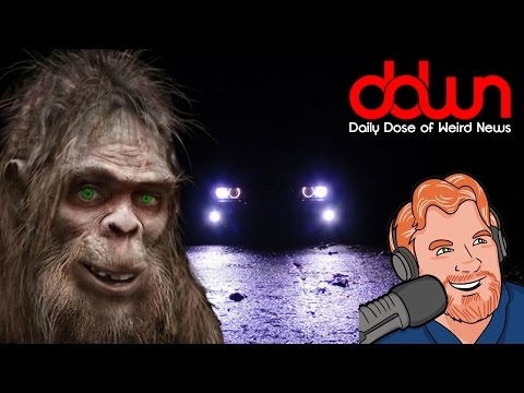 Bigfoot causes car crash! * And 11 more weird news stories!  #DDWN