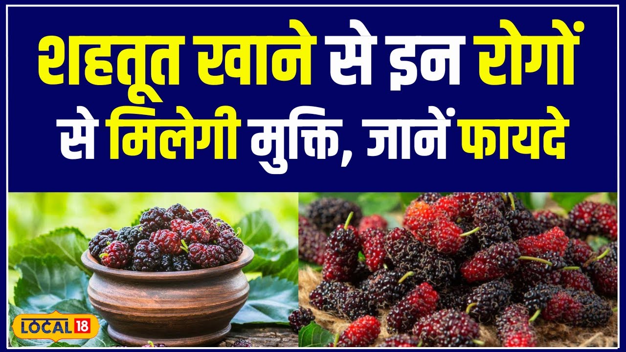 Health Tips: शहतूत में छिपे है अनेकों लाभ, Diabetes का है रामबाण इलाज! | #local18