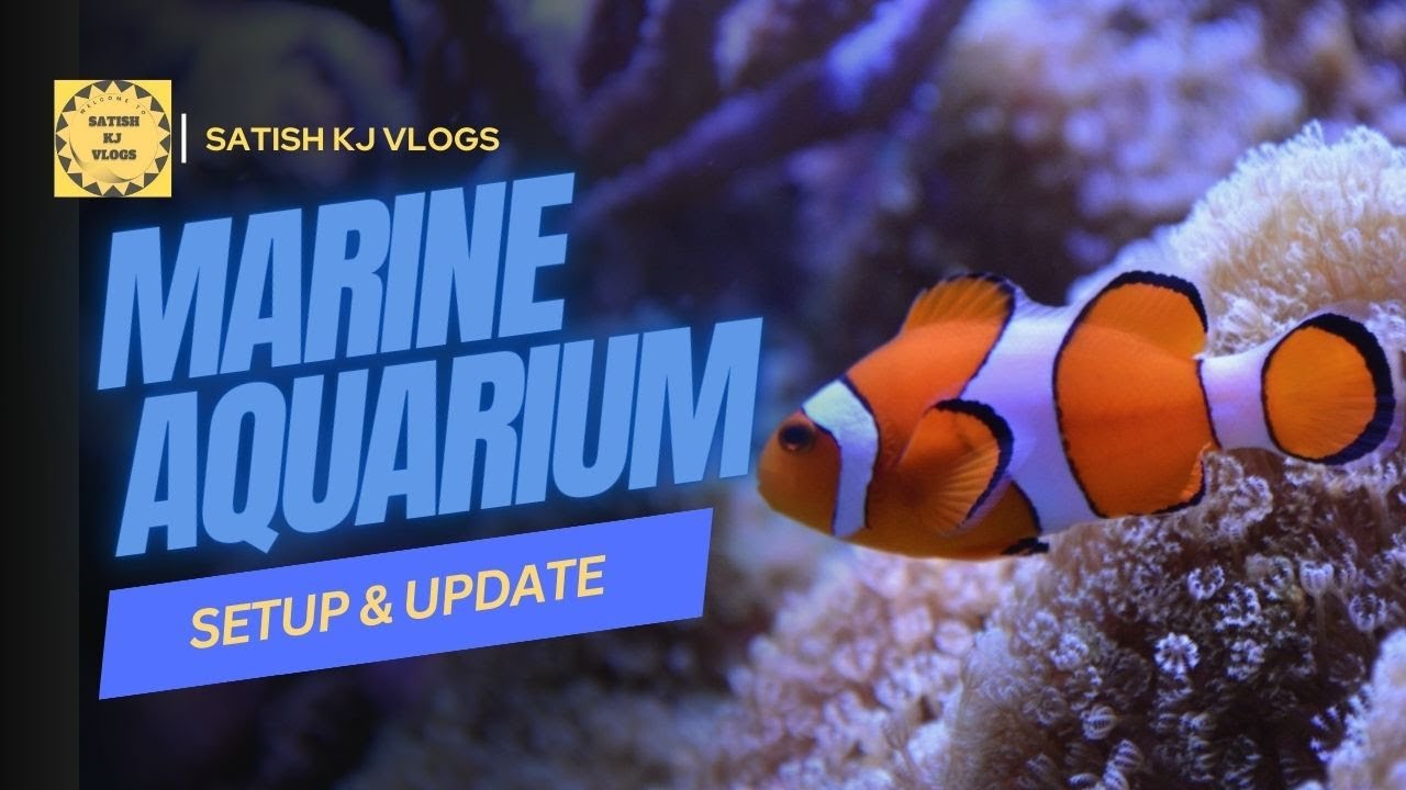 How to Set up a Saltwater Aquarium! Part 1 | Satish KJ Vlogs