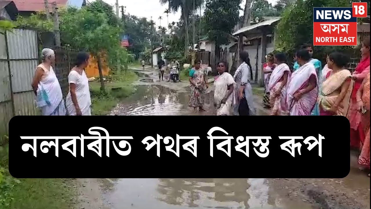 Nalbari News | নলবাৰীত শাওনৰ পথাৰত এতিয়া সেউজীয়া সপোন ৰচিছে জাক জাক ৰোৱনীয়ে । N18V