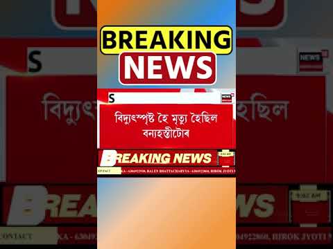 Numaligarh NRLৰ একাংশ বিষয়াৰ ভয়ংকৰ কাণ্ড | Assamese News #shorts 19/07/24