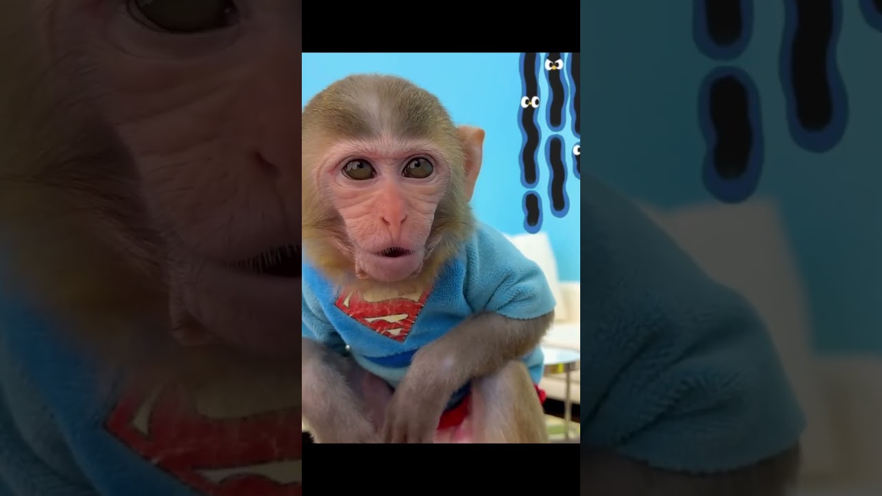 monkey#shorts #like #comedy #baby #music #love #song #viral #art #reels #youtubeshorts #cute #gaming