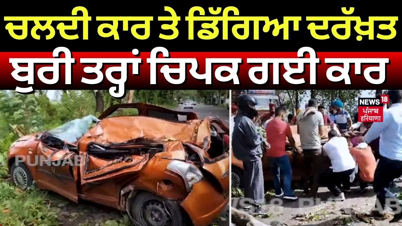 Faridkot Car Accident News | ਚਲਦੀ ਕਾਰ ਤੇ ਡਿੱਗਿਆ ਦਰੱਖ਼ਤ ਬੁਰੀ ਤਰ੍ਹਾਂ ਚਿਪਕ ਗਈ ਕਾਰ | N18V