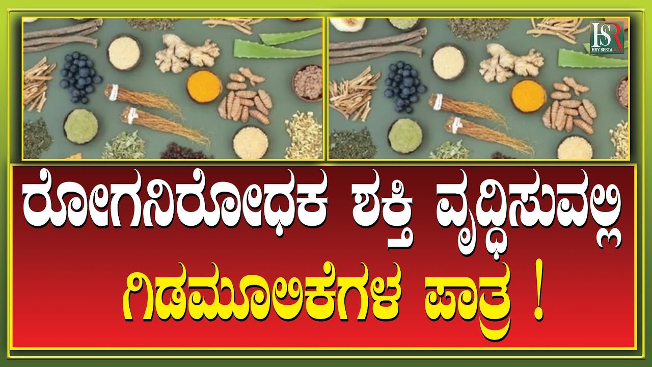 Health tips; ರೋಗನಿರೋಧಕ ಶಕ್ತಿ ವೃದ್ಧಿಸುವಲ್ಲಿ ಗಿಡಮೂಲಿಕೆಗಳ ಪಾತ್ರ ! First Aid | Health | Disease | Today