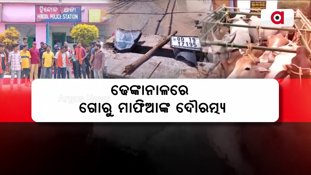 ଢେଙ୍କାନାଳରେ ଗୋରୁ ମାଫିଆଙ୍କ ଦୌରତ୍ମ୍ୟ || Cattle Mafia || Dhenkanal