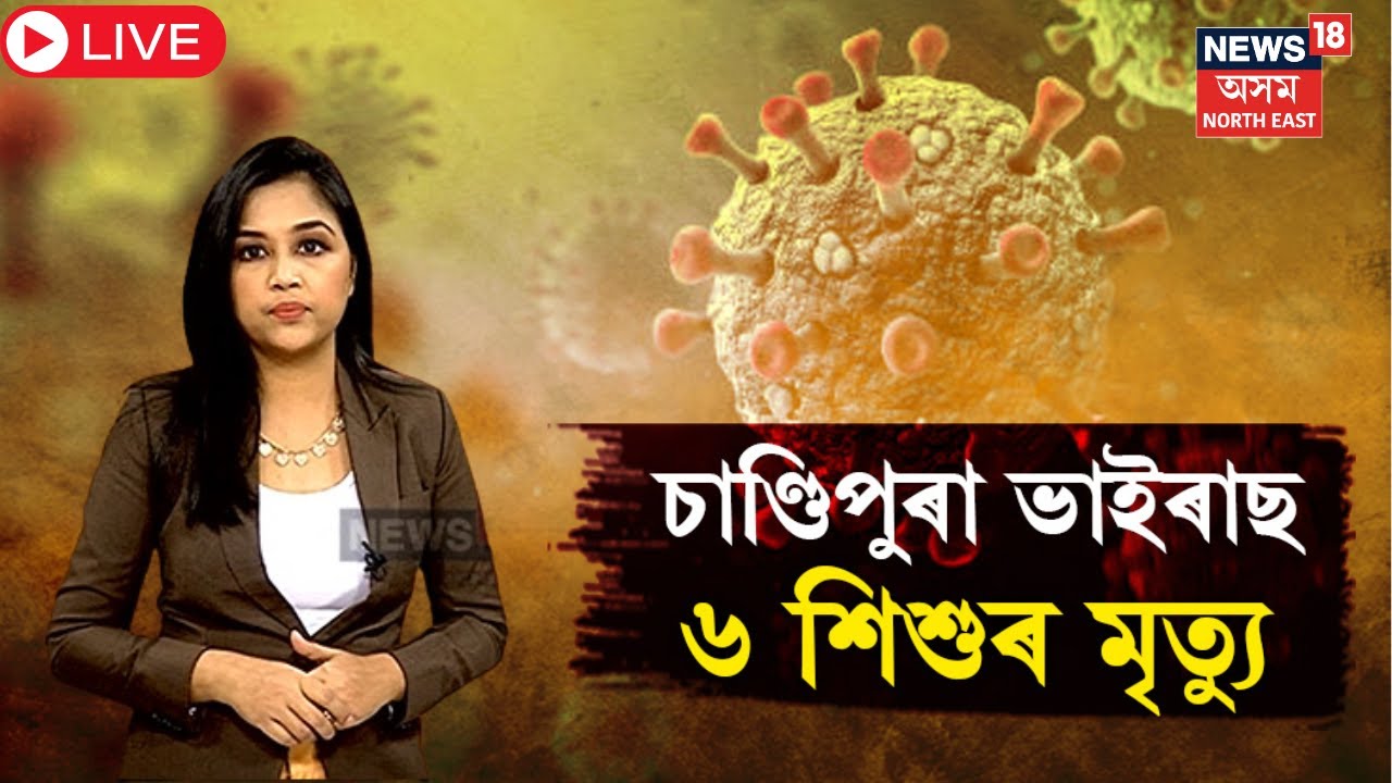 LIVE। Chandipura Virus | চাণ্ডিপুৰা ভাইৰাছ কি? হঠাৎ বাঢ়িছে আক্ৰান্ত শিশুৰ সংখ্যা | N18L