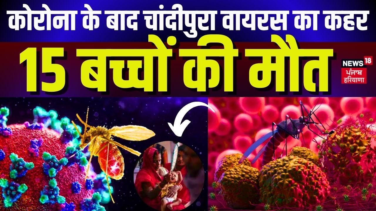 Coronavirus के बाद Chandipura Virus का कहर, 15 बच्चों की मौत | Gujarat News | Breaking News | Hindi