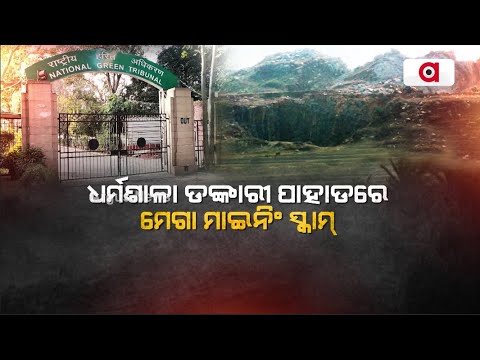 ଡଙ୍କାରୀରୁ କଳାପଥର ଲୁଟ୍, ଏନଜିଟି ଛାଟ || Dankari Hills Mining Scam