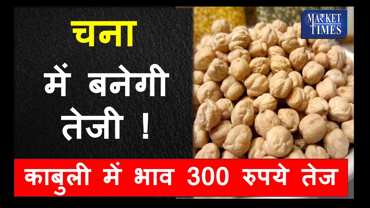 चना में बनेगी तेजी ! – काबुली में भाव 300 रुपये तेज #chana #kabuli #mandi #pulses #daal