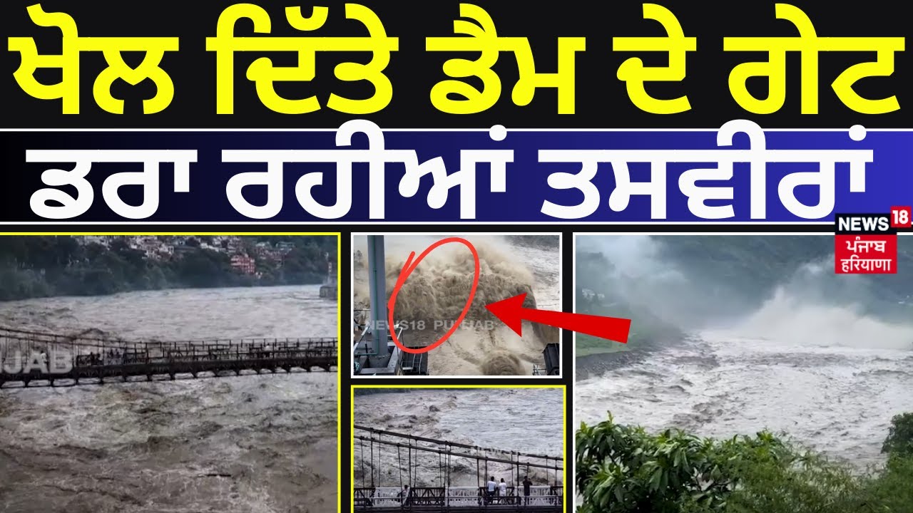 LIVE | ਚਾਰੇ ਪਾਸੇ ਪਾਣੀ ਹੀ ਪਾਣੀ, ਡਰਾ ਰਹੀਆਂ ਤਸਵੀਰਾਂ | Flood Gates | Himachal Flood | Water Level